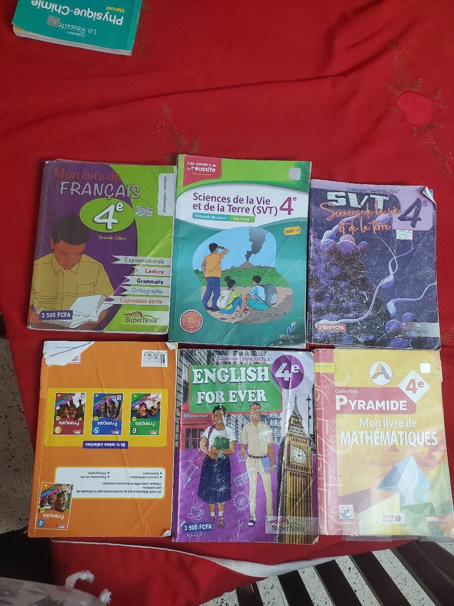 Lot de manuels scolaires 4e
