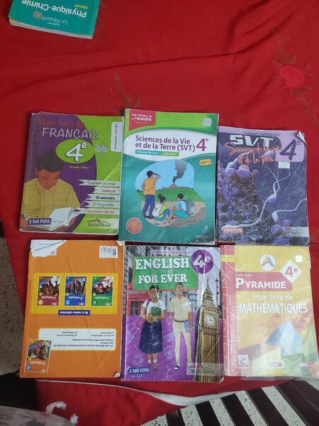 Lot de manuels scolaires 4e