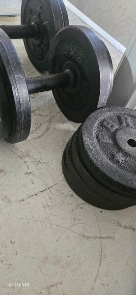 30kg dumble Both