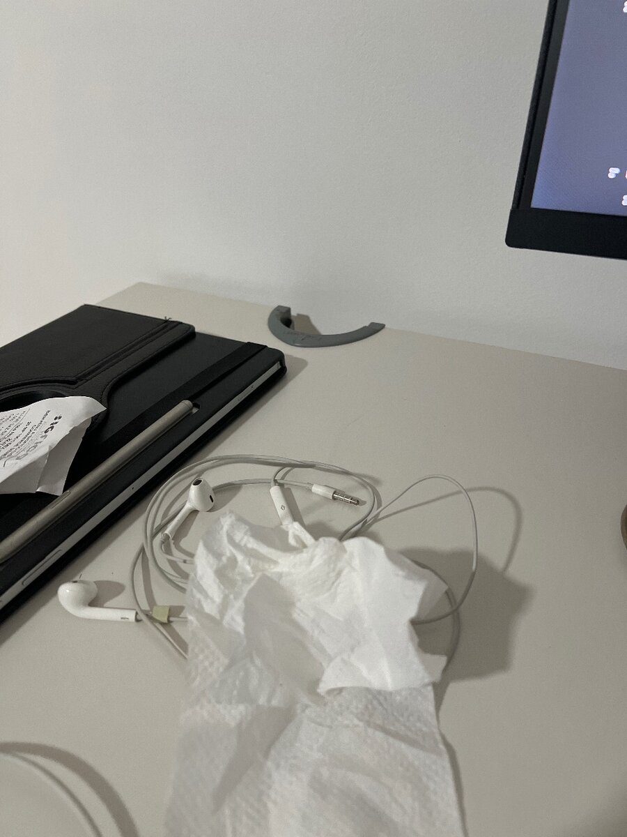 Écouteurs filaires blancs