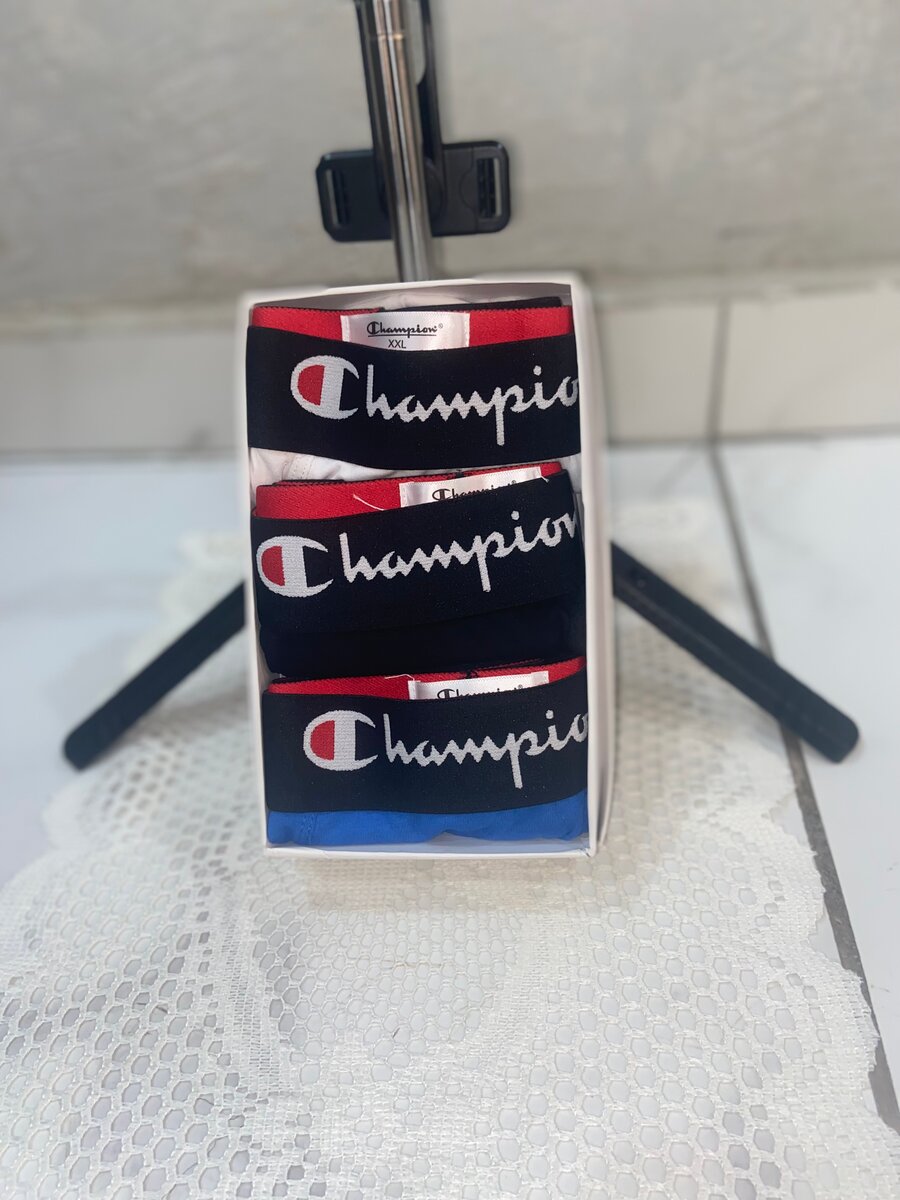 Boxer multimotif Champion