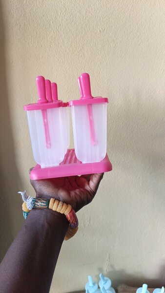 Moules à Glace Maison Rose