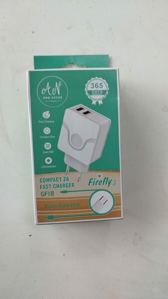 Chargeur rapide 2A compact