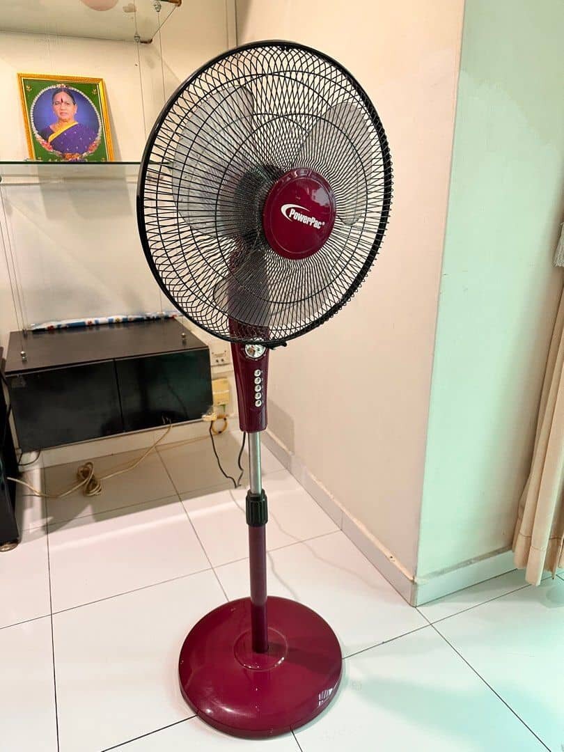 Standing and Ceiling Fan