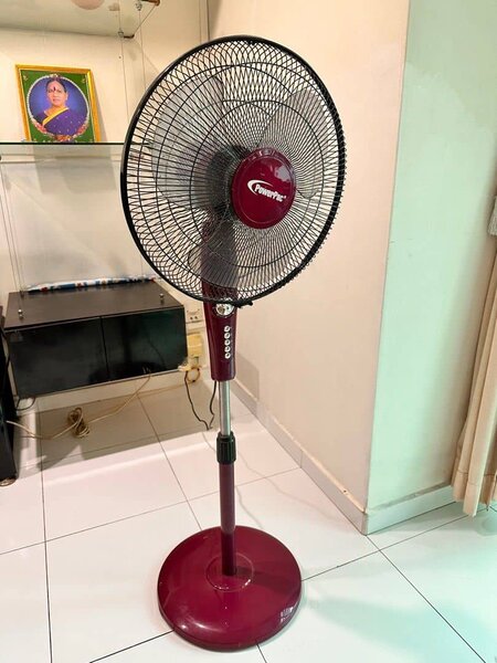 Standing and Ceiling Fan