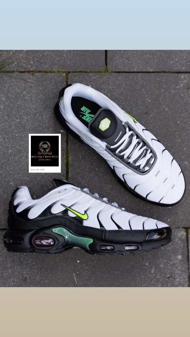 Basket NIKE TN authentique dans carton 40-45