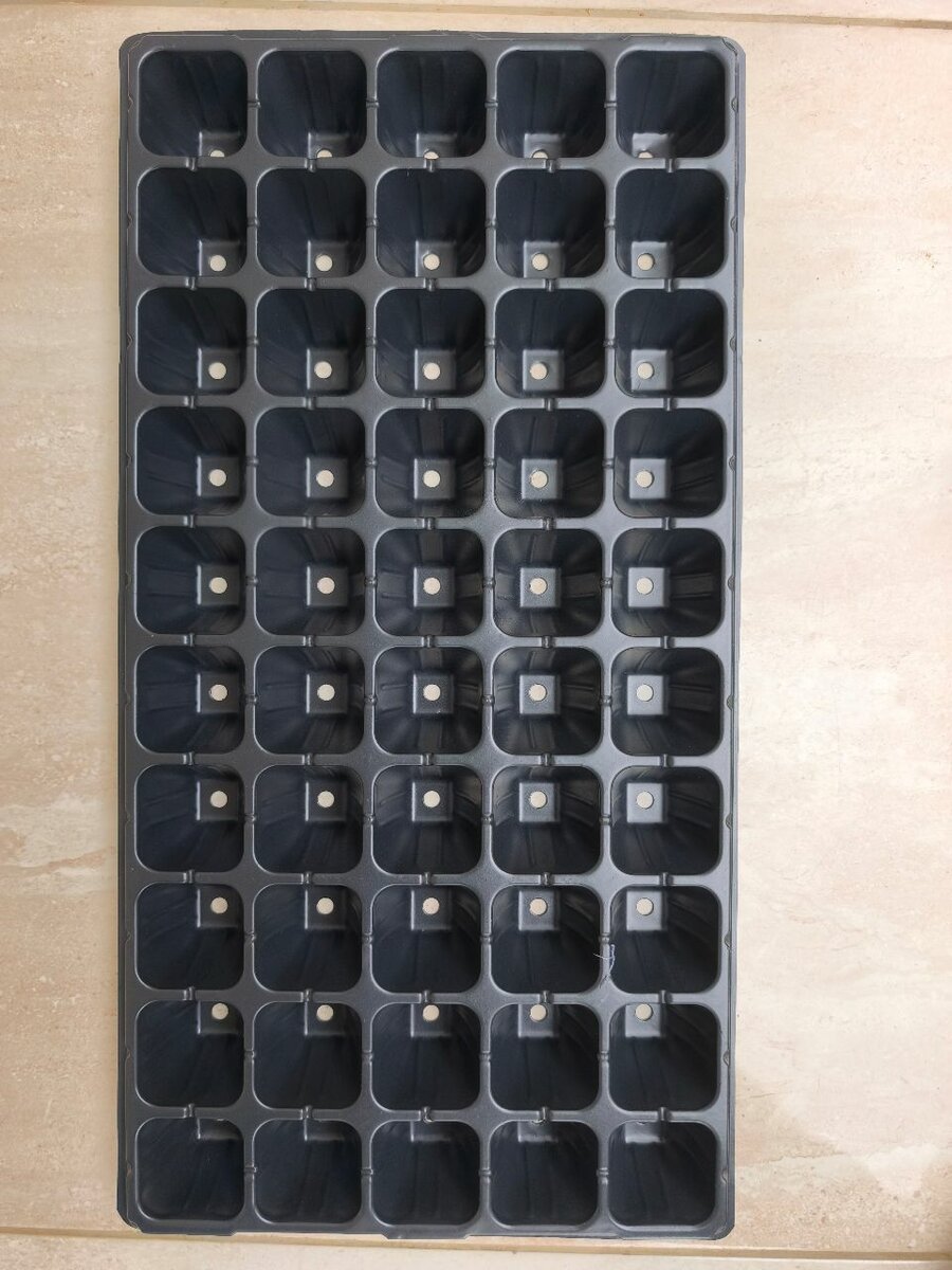 Plaque alveole lot de 10