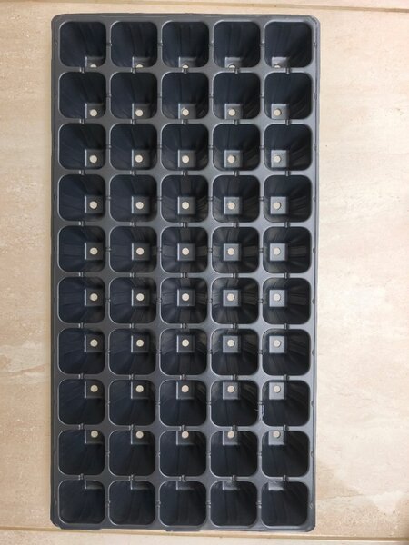 Plaque alveole lot de 10