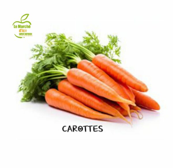 Carottes fraîches