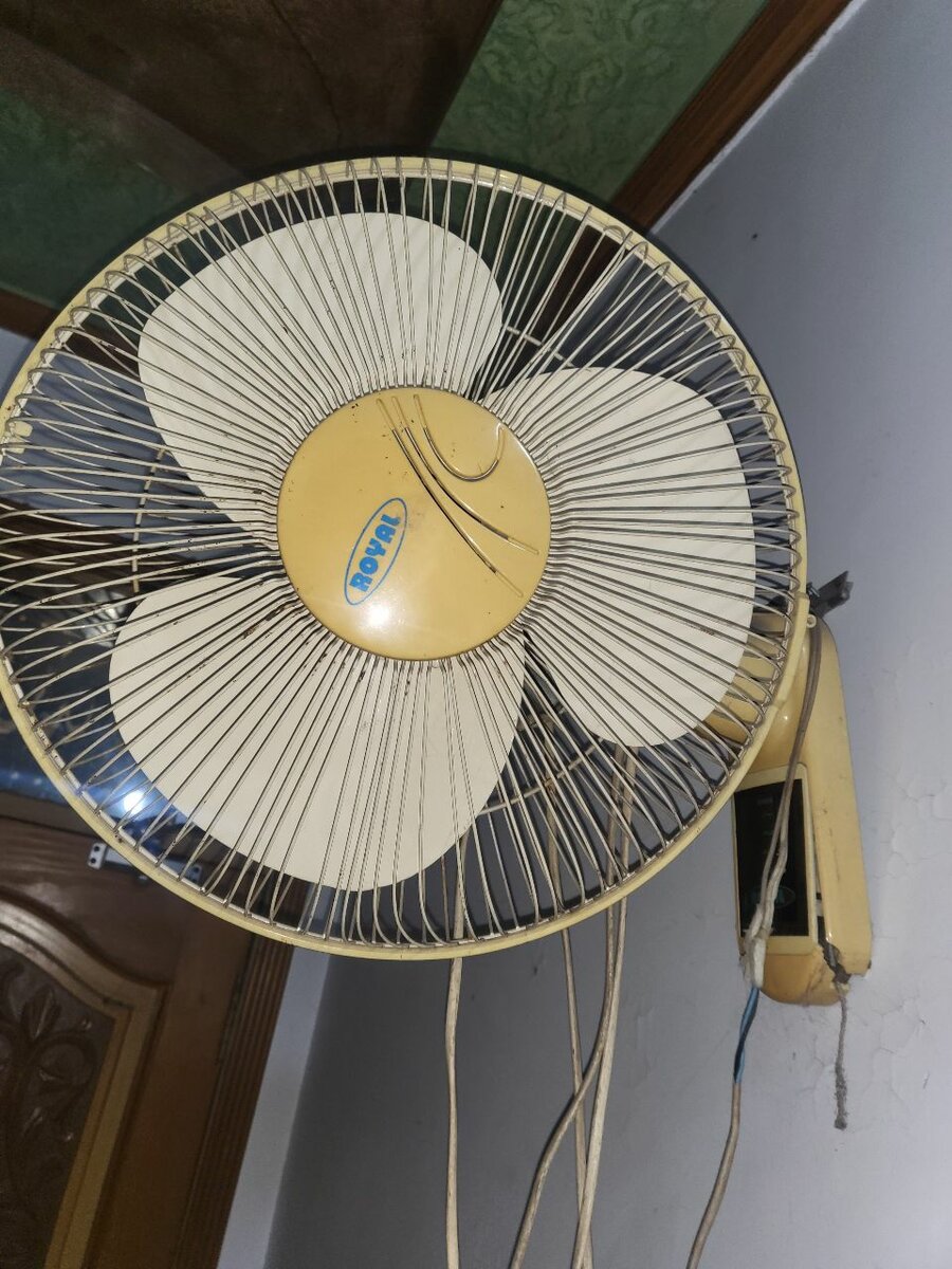 Orbit Fan for wall(panalux)