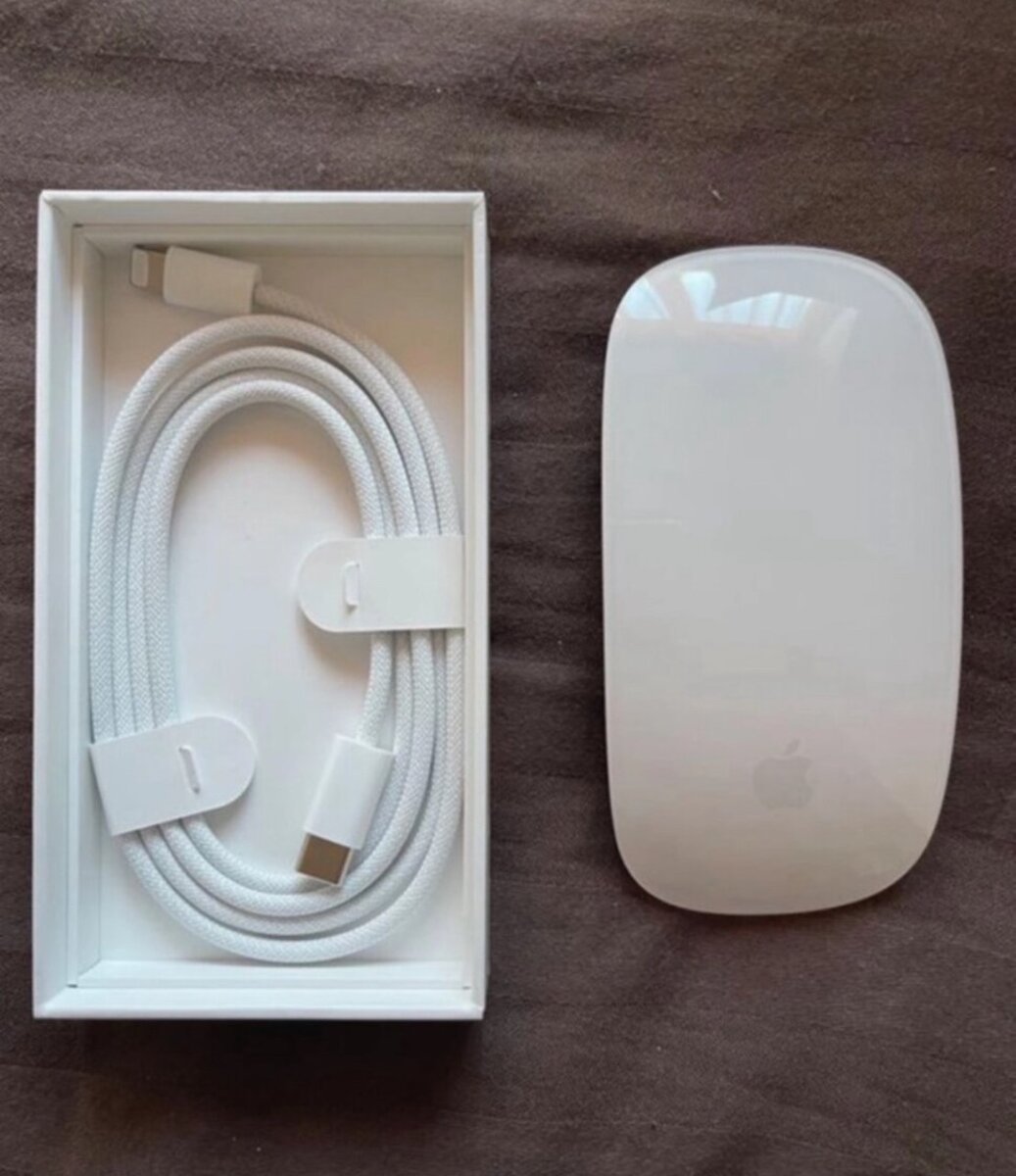 Souris Apple Magic Mouse 2