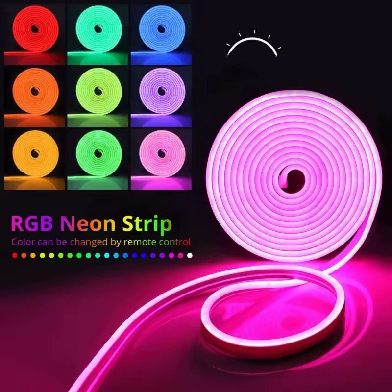 Bande LED Néon RGB 5M Télécommande