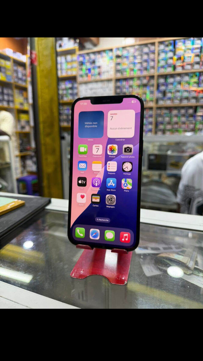 iPhone 13 Pro Max 256 Go