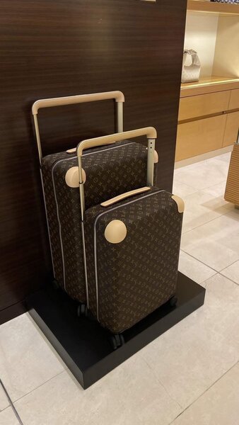 Valises de voyage élégantes