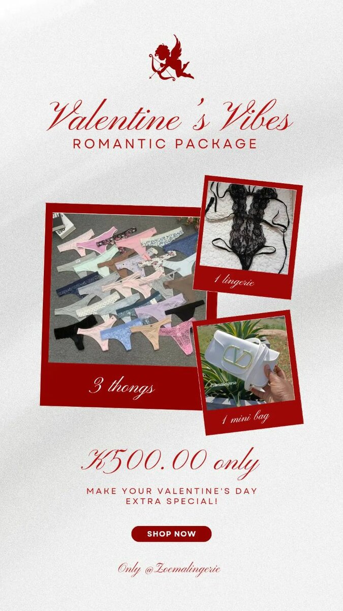 Lingerie/mini bag/ underwear