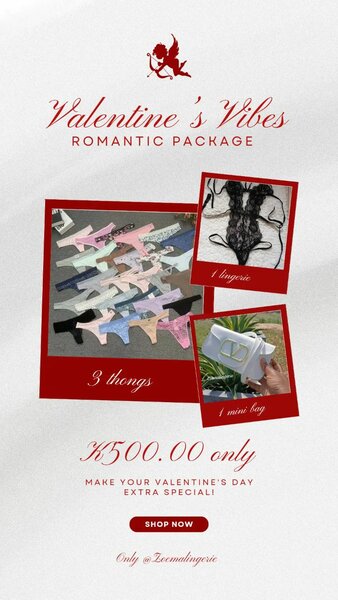 Lingerie/mini bag/ underwear