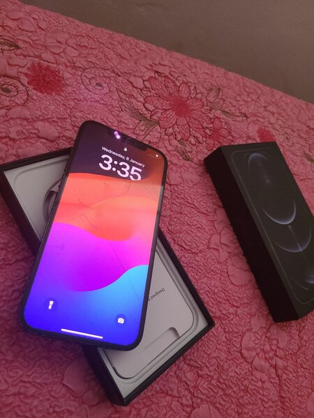 iPhone 12 Pro Max 256GB