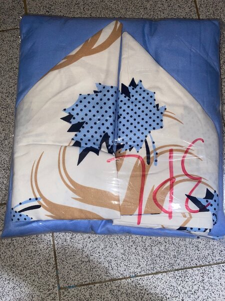 Draps + couverture et oreiller