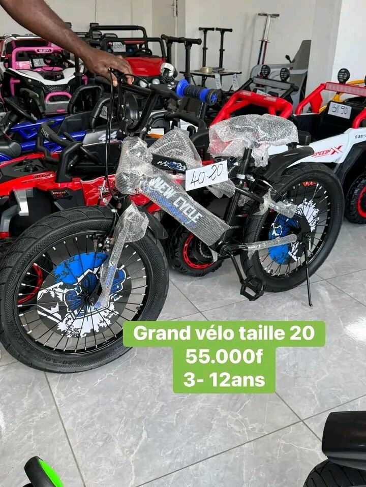 Vélo Enfant 20 Pouces