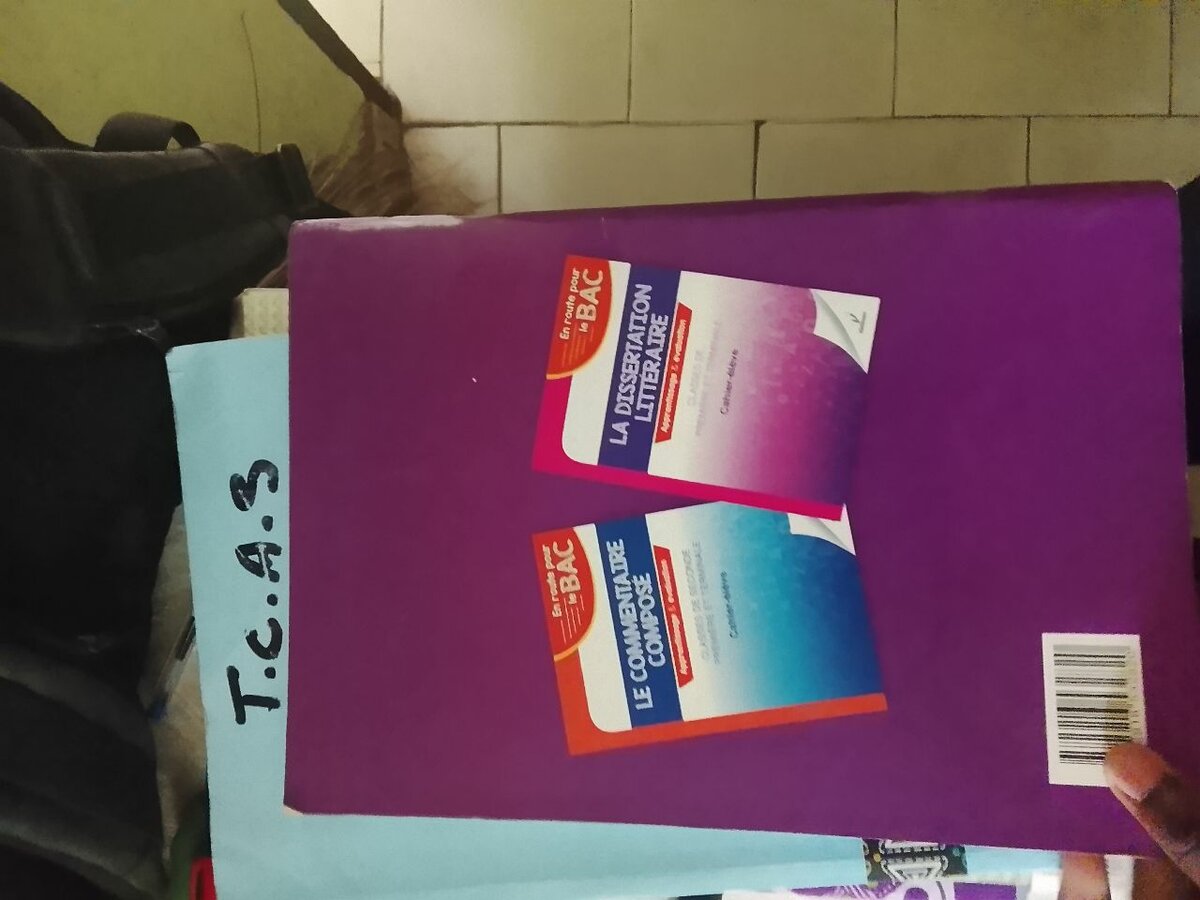 Carnet Dissertation Littéraire