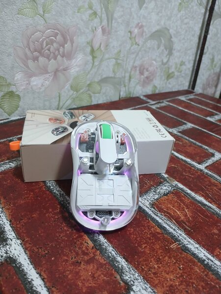 Souris transparente sans fil