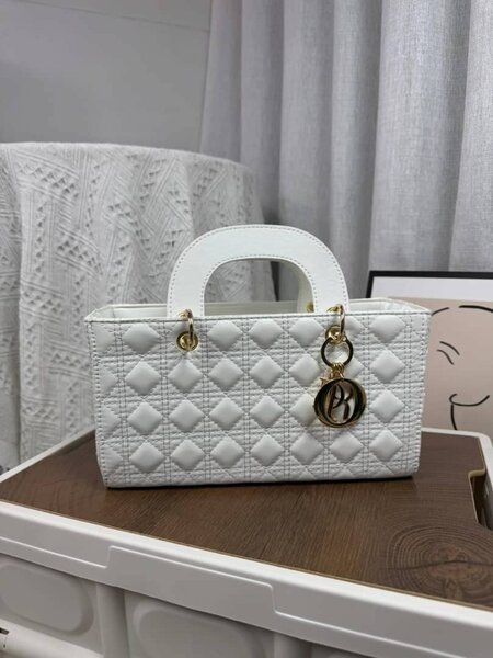 Sacs Dior