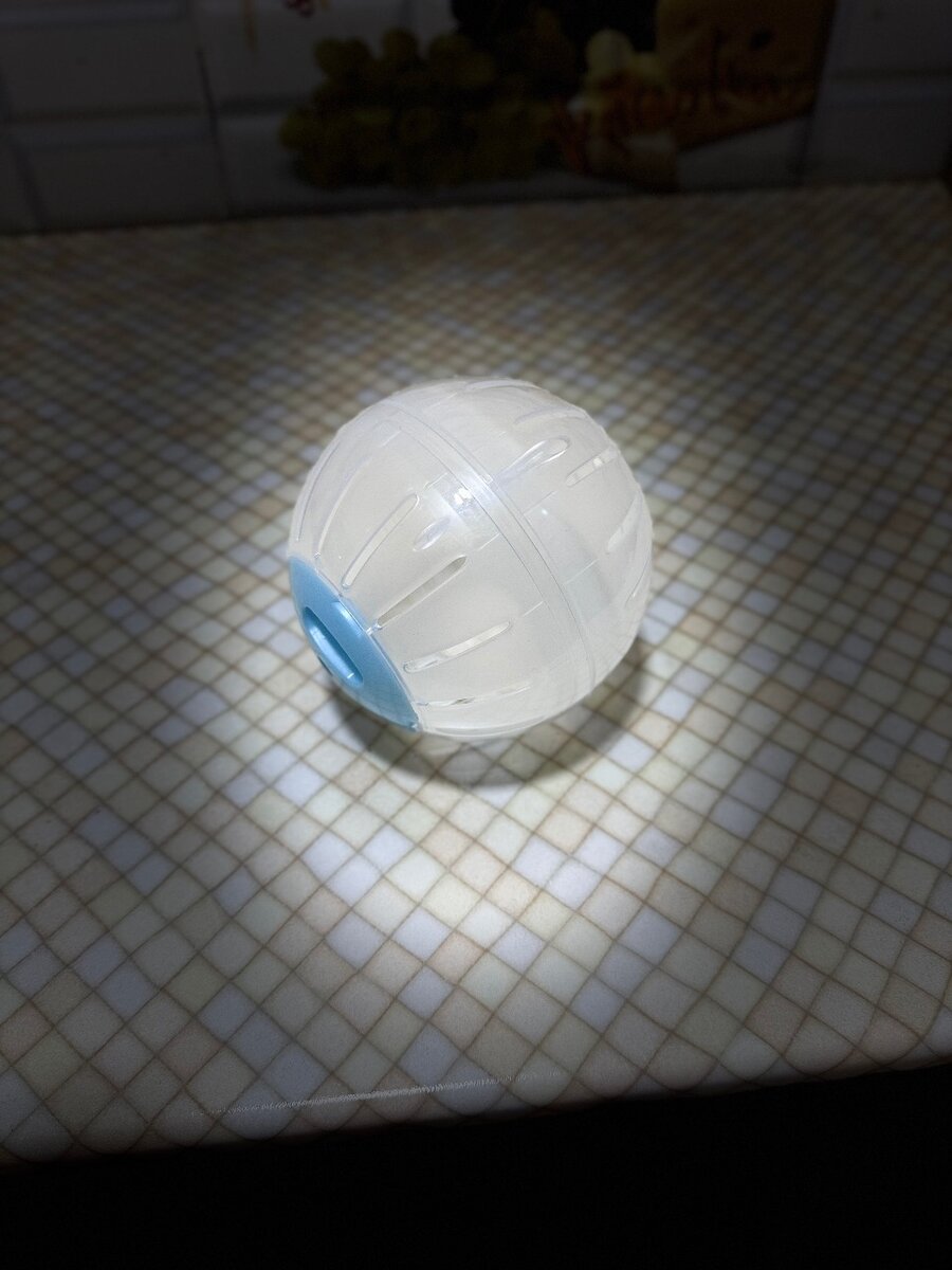 Шар прогулочный