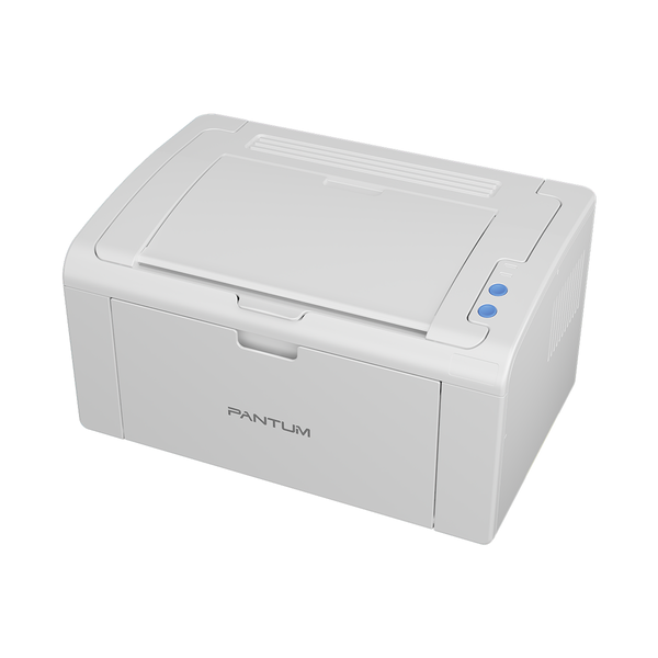 Pantum p2509 printer