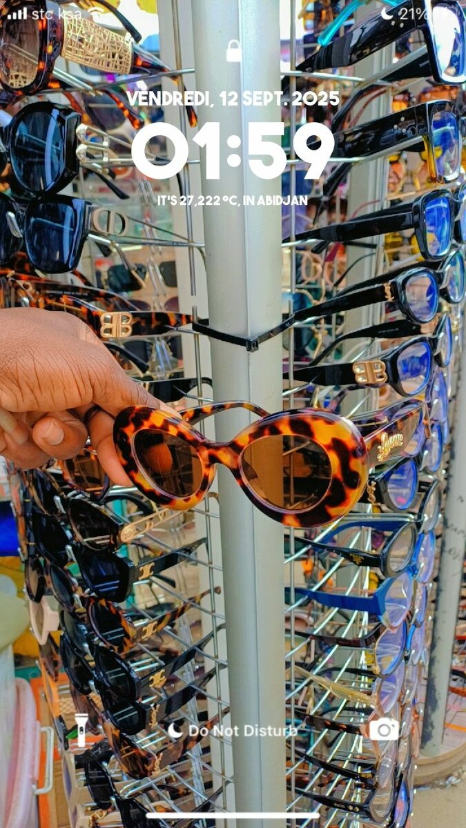 Lunettes de soleil rétro chic