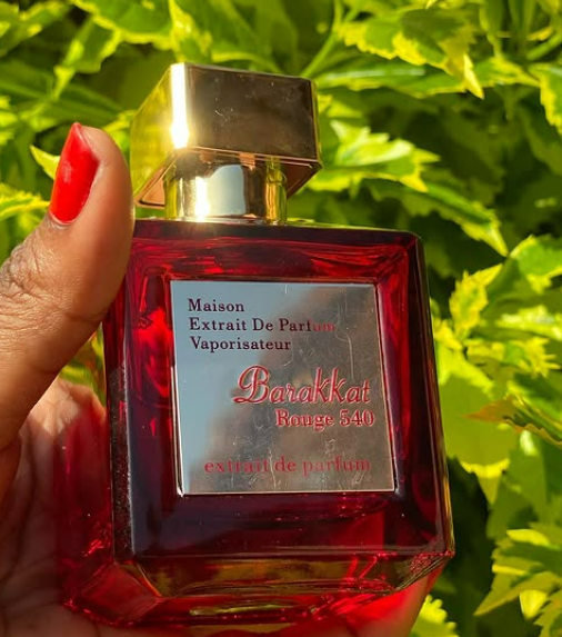Barrakkat Rouge 540