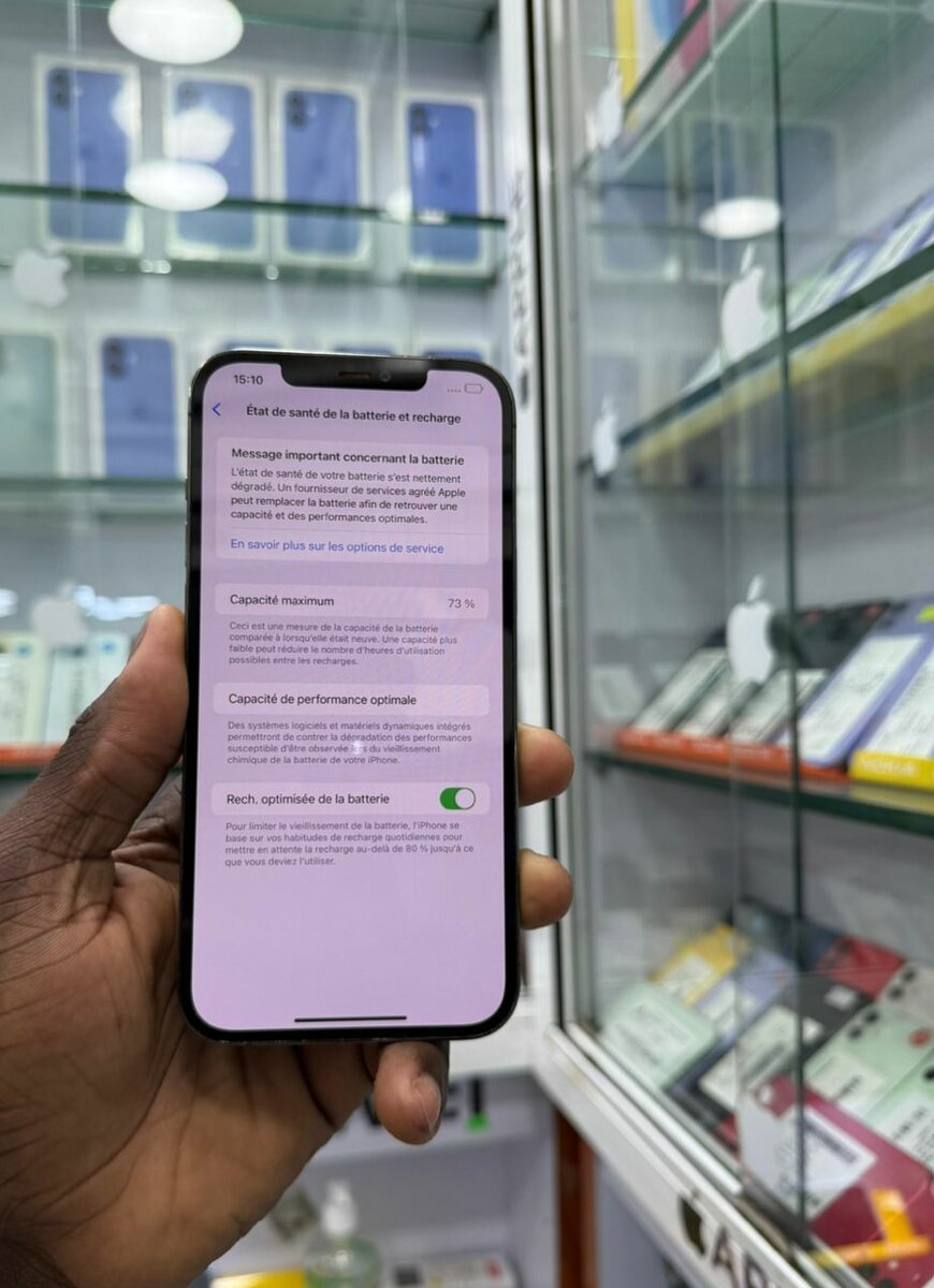 iPhone 12 Pro Max Gris