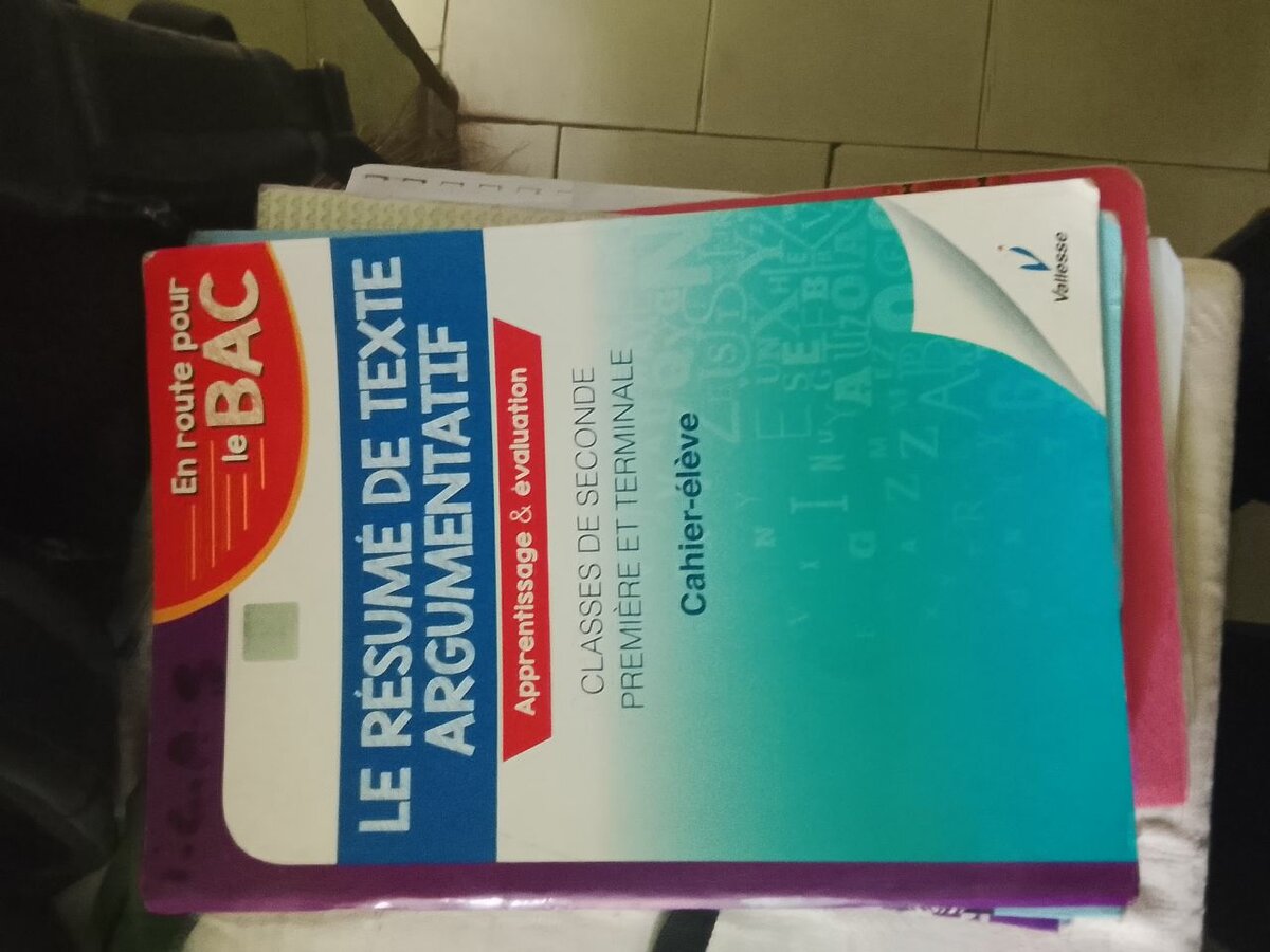 Cahier-réflexion BAC