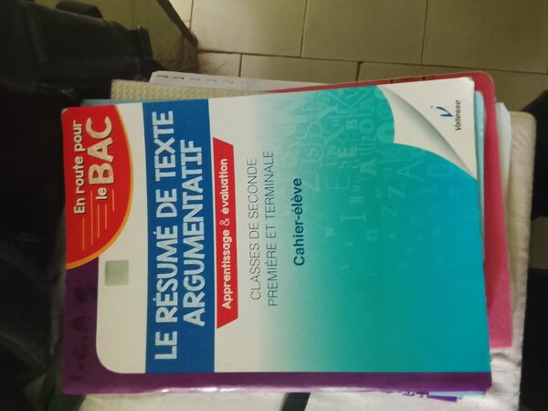 Cahier-réflexion BAC