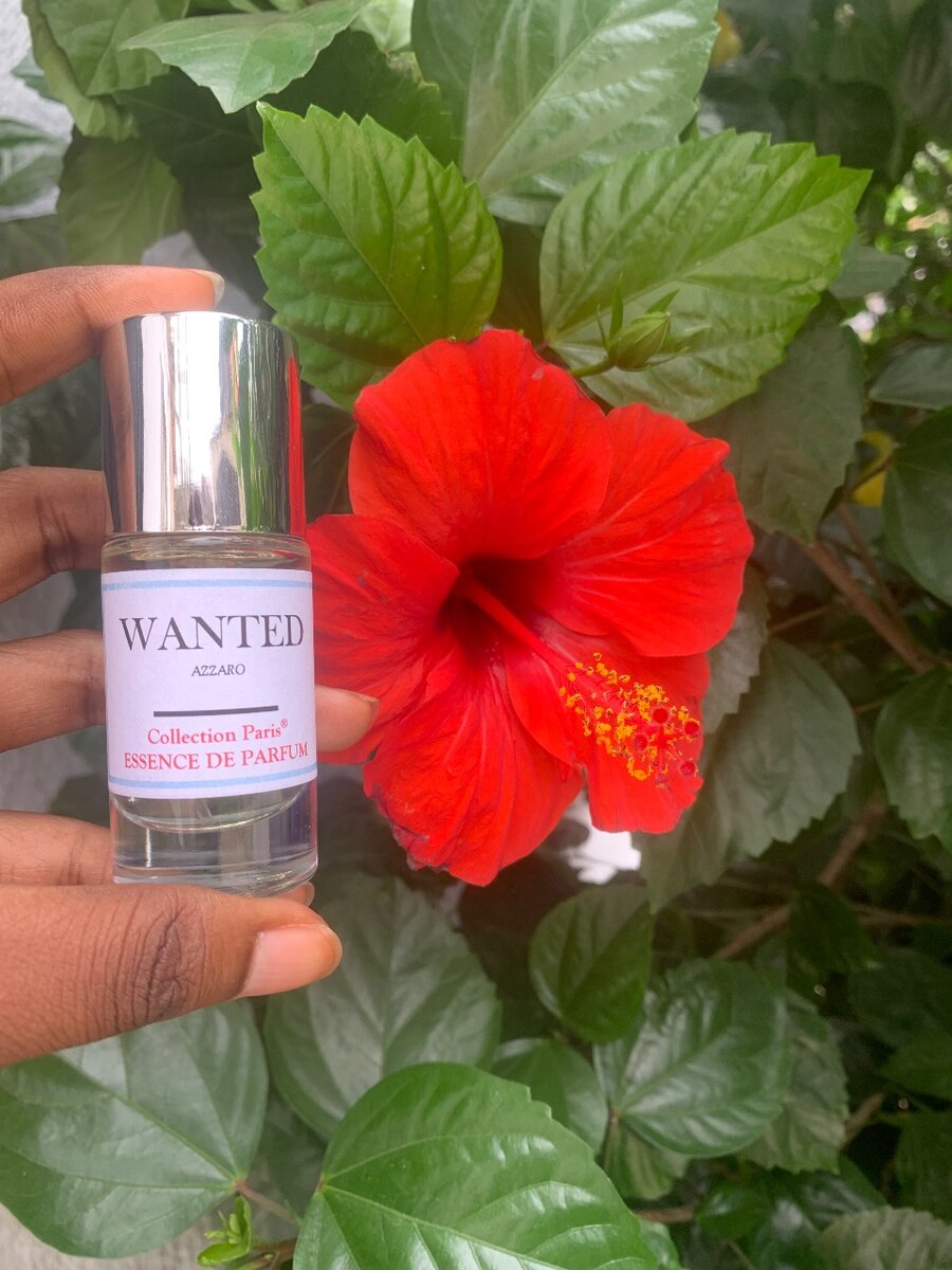 Azzaro Wanted Essence