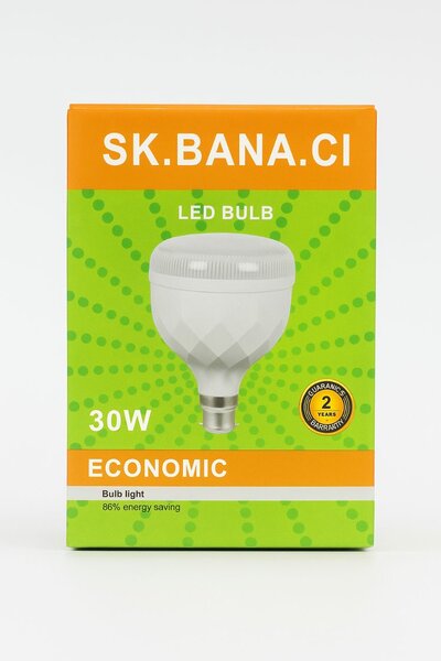 Ampoule LED BANA B22 30W