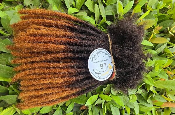Dreads locks