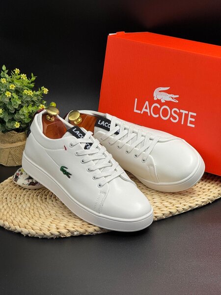 Mens Lacoste shoe