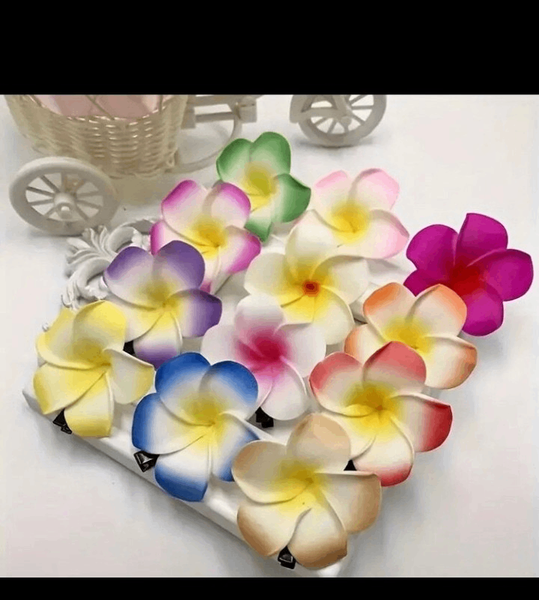 Fleurs Épingles Colorées