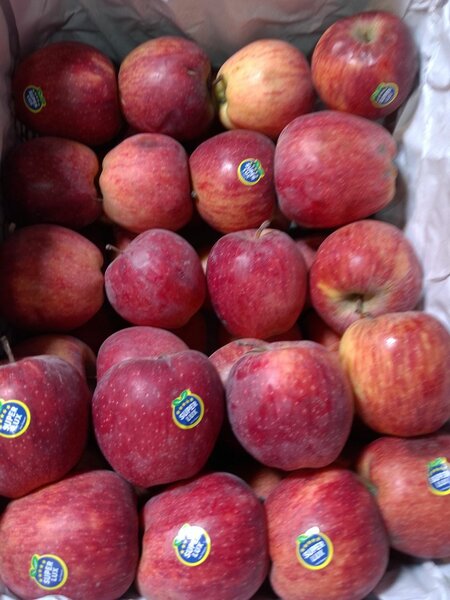 Apples 1kg