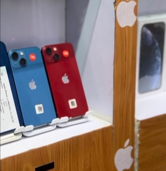 iPhone 14  élégant