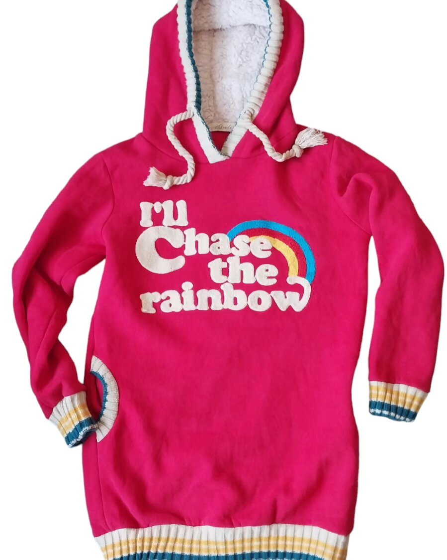 Ru Chase the Rainbow Hoodie