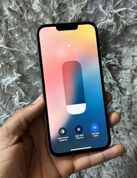 iPhone 13 Pro Max 256GB