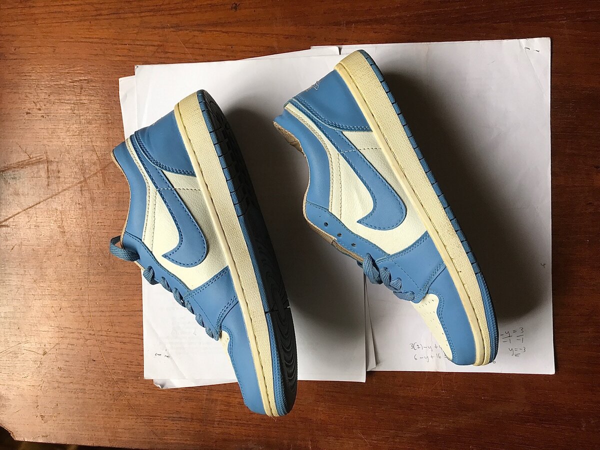 Thrifted Air Jordan 1 low cut