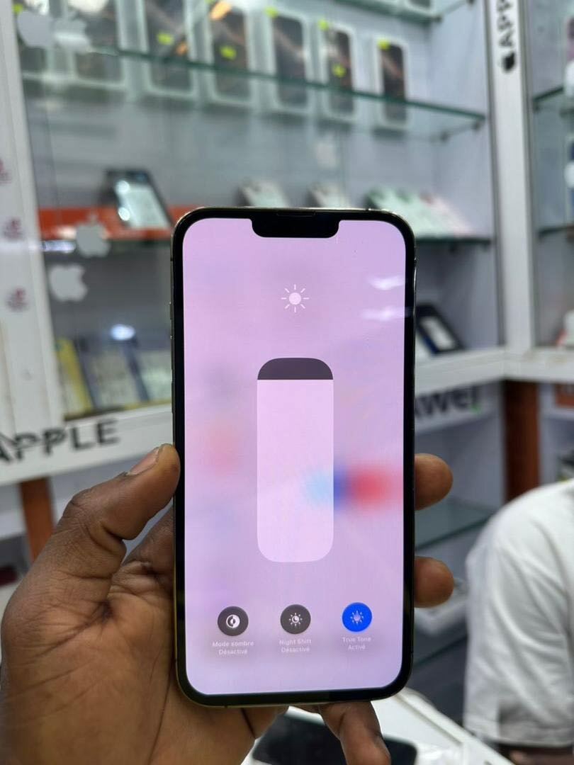 iphone 13 pro max 256 giga