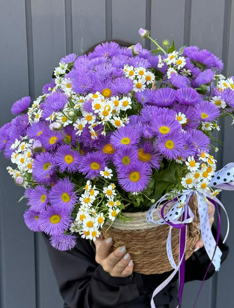 Кустовые ромашки