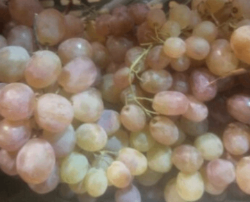 Grapes 1kg