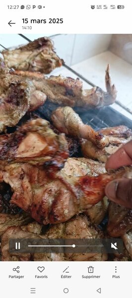 Poulet braisé Mariné Délicieux