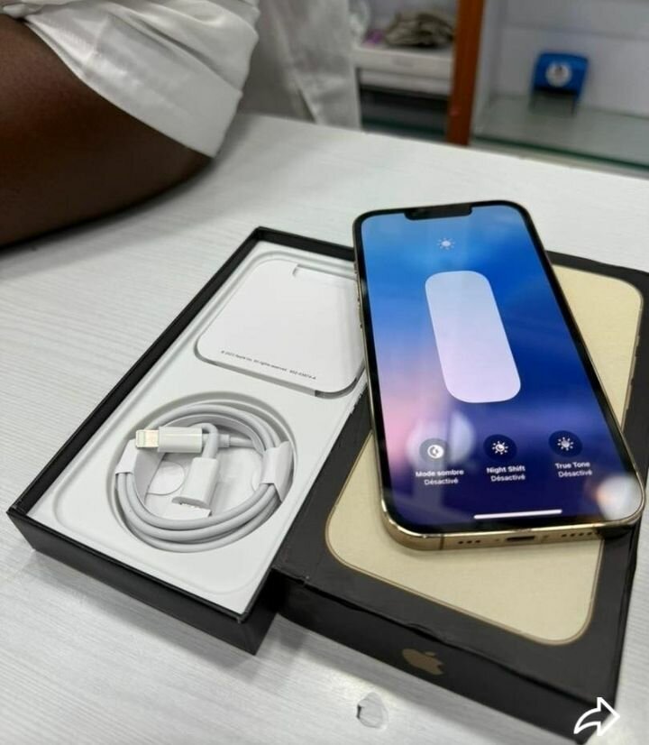 iPhone 13 Pro Max Or 256 Go