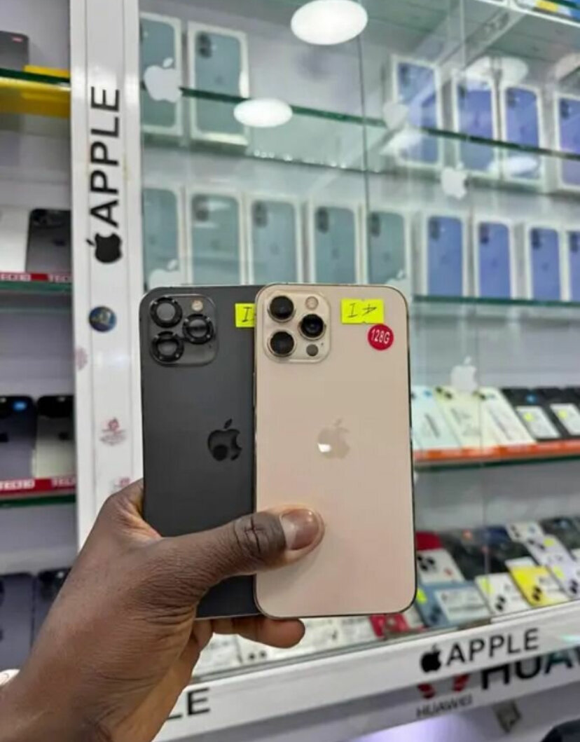 iPhone 13 Pro Max 256Go