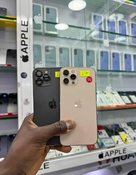 iPhone 13 Pro Max 256Go